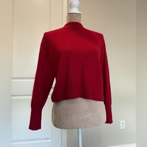 Everlane Vibrant Red Cashmere Sweater